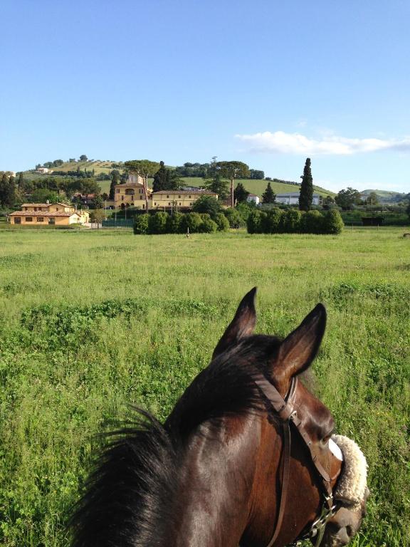 Agriturismo Villa Irelli Castellalto Kültér fotó